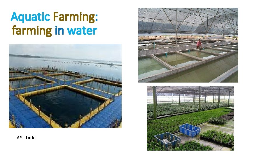 Aquatic Farming: farming in water ASL Link: 