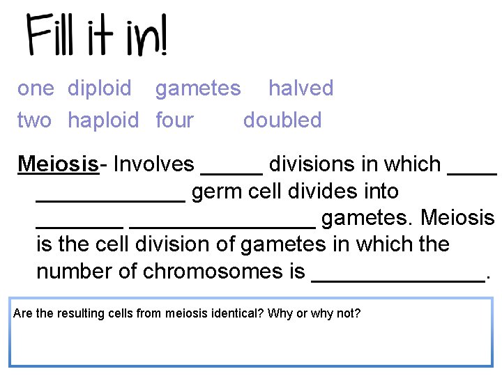 one diploid gametes halved two haploid four doubled. Meiosis- Involves _____ divisions in which