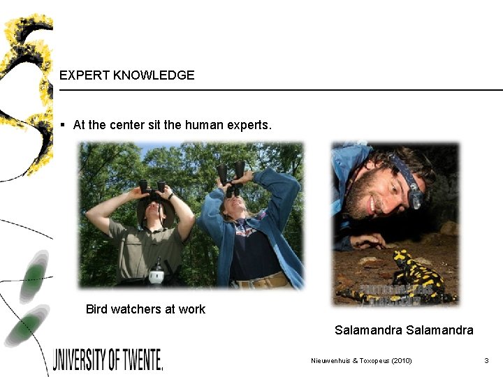 EXPERT KNOWLEDGE § At the center sit the human experts. Bird watchers at work