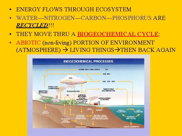  • ENERGY FLOWS THROUGH ECOSYSTEM • WATER—NITROGEN—CARBON—PHOSPHORUS ARE RECYCLED!!! • THEY MOVE THRU