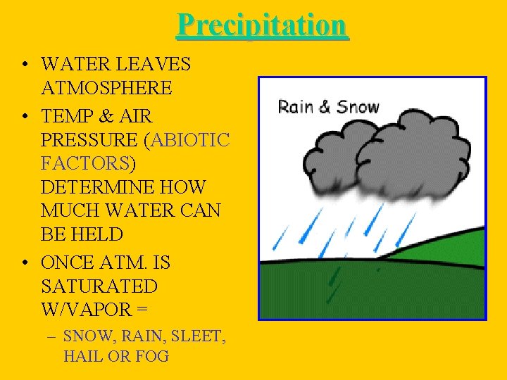 Precipitation • WATER LEAVES ATMOSPHERE • TEMP & AIR PRESSURE (ABIOTIC FACTORS) DETERMINE HOW