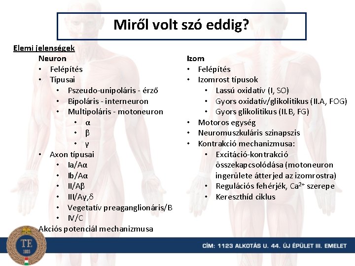 Miről volt szó eddig? Elemi jelenségek Neuron • Felépítés • Típusai • Pszeudo-unipoláris -