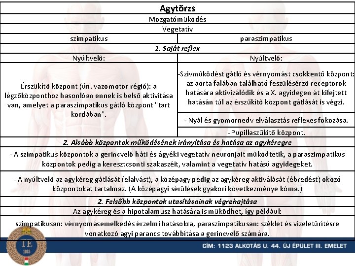 Agytörzs Mozgatóműködés Vegetatív szimpatikus paraszimpatikus 1. Saját reflex Nyúltvelő: -Szívműködést gátló és vérnyomást csökkentő