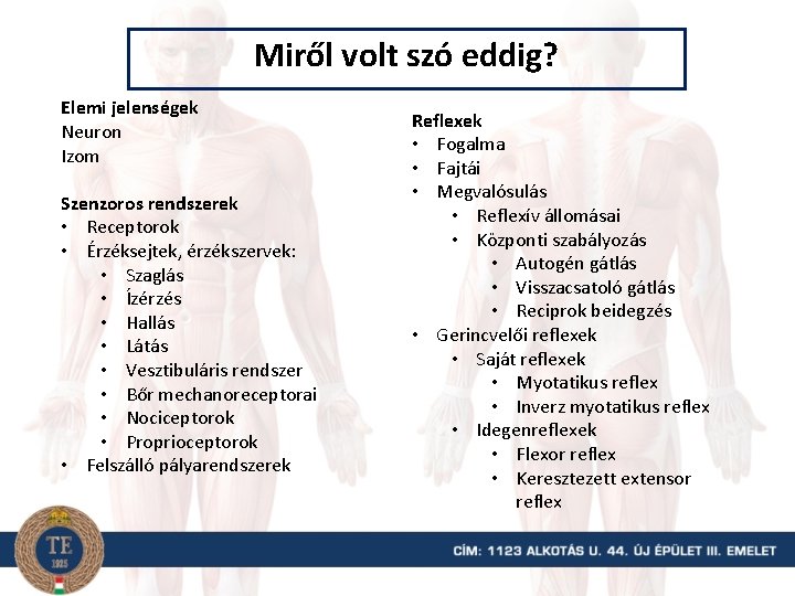 Miről volt szó eddig? Elemi jelenségek Neuron Izom Szenzoros rendszerek • Receptorok • Érzéksejtek,