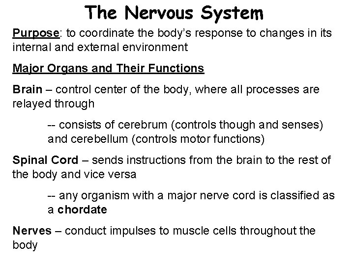 The Nervous System Purpose: to coordinate the body’s response to changes in its internal