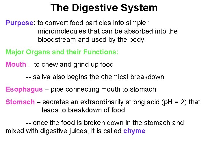 The Digestive System Purpose: to convert food particles into simpler micromolecules that can be