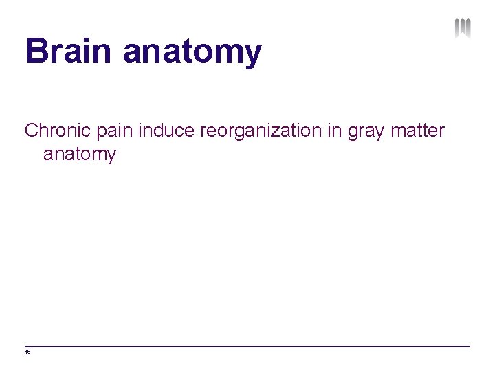 Brain anatomy Chronic pain induce reorganization in gray matter anatomy 15 