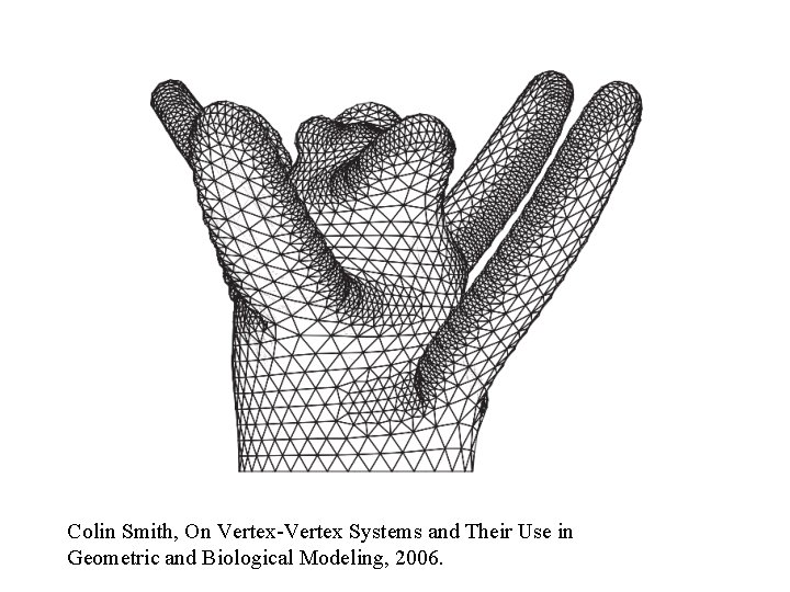 Colin Smith, On Vertex-Vertex Systems and Their Use in Geometric and Biological Modeling, 2006.