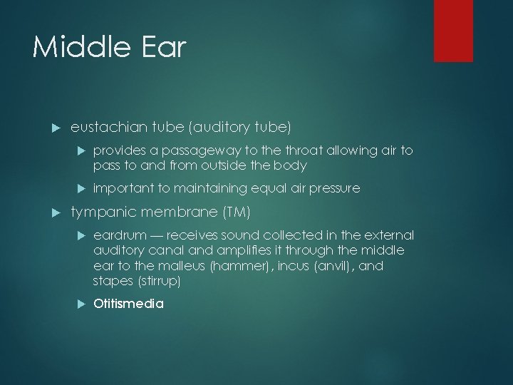 Middle Ear eustachian tube (auditory tube) provides a passageway to the throat allowing air