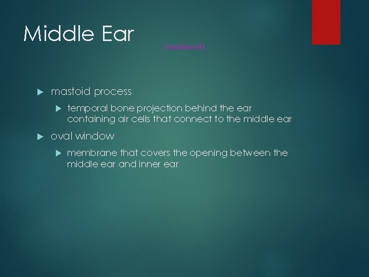 Middle Ear mastoid process (continued) temporal bone projection behind the ear containing air cells