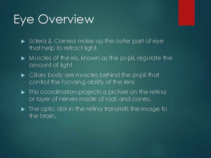Eye Overview Sclera & Cornea make up the outer part of eye that help