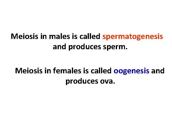 Meiosis in males is called spermatogenesis and produces sperm. Meiosis in females is called