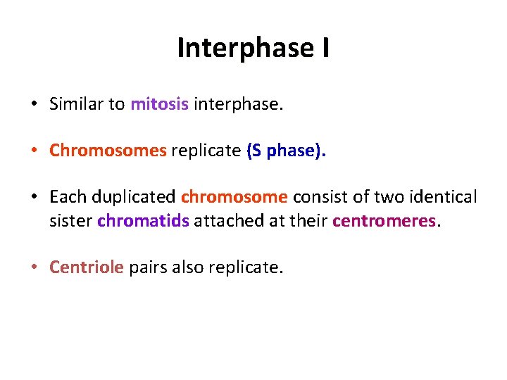 Interphase I • Similar to mitosis interphase. • Chromosomes replicate (S phase). • Each