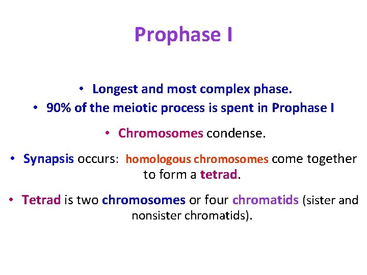 Prophase I • Longest and most complex phase. • 90% of the meiotic process