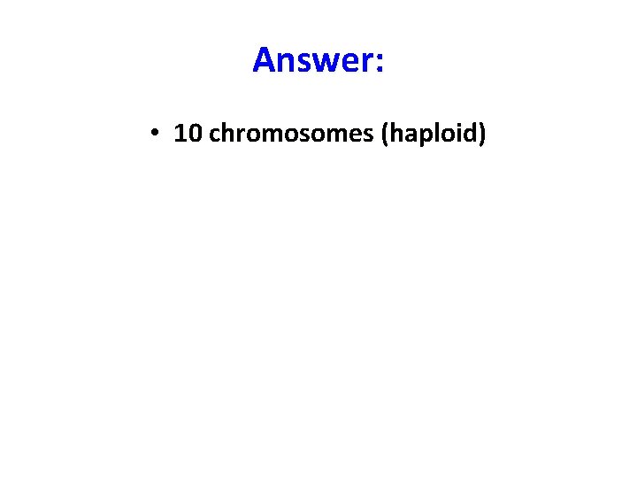 Answer: • 10 chromosomes (haploid) 