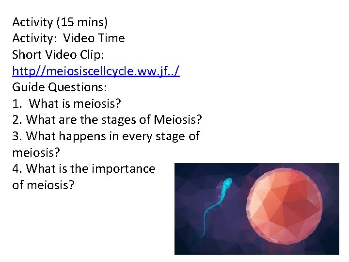 Activity (15 mins) Activity: Video Time Short Video Clip: http//meiosiscellcycle. ww. jf. . /