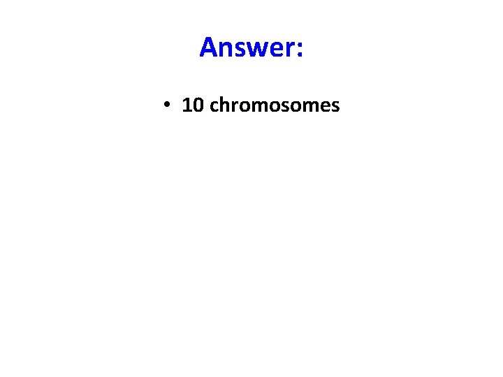Answer: • 10 chromosomes 