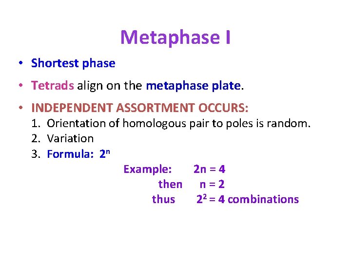 Metaphase I • Shortest phase • Tetrads align on the metaphase plate • INDEPENDENT