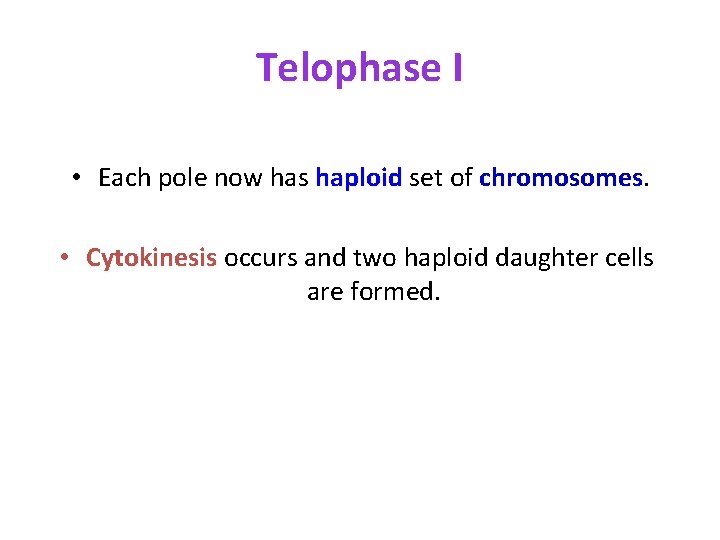 Telophase I • Each pole now has haploid set of chromosomes • Cytokinesis occurs