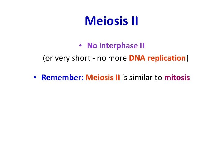 Meiosis II • No interphase II (or very short - no more DNA replication)