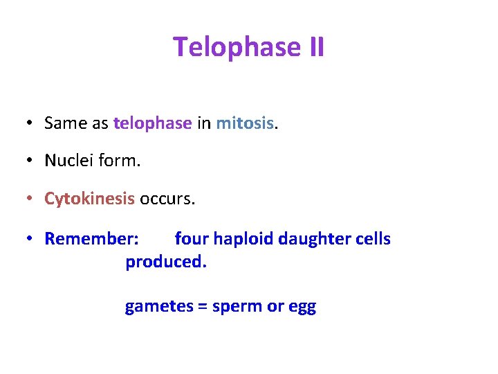 Telophase II • Same as telophase in mitosis • Nuclei form. • Cytokinesis occurs.