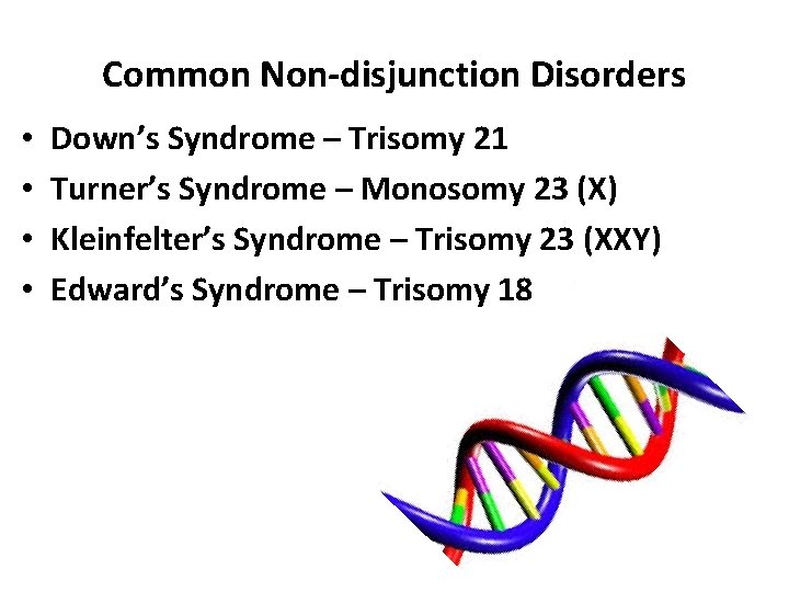 Common Non-disjunction Disorders • • Down’s Syndrome – Trisomy 21 Turner’s Syndrome – Monosomy