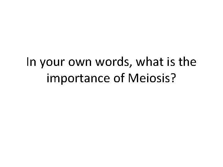 In your own words, what is the importance of Meiosis? 