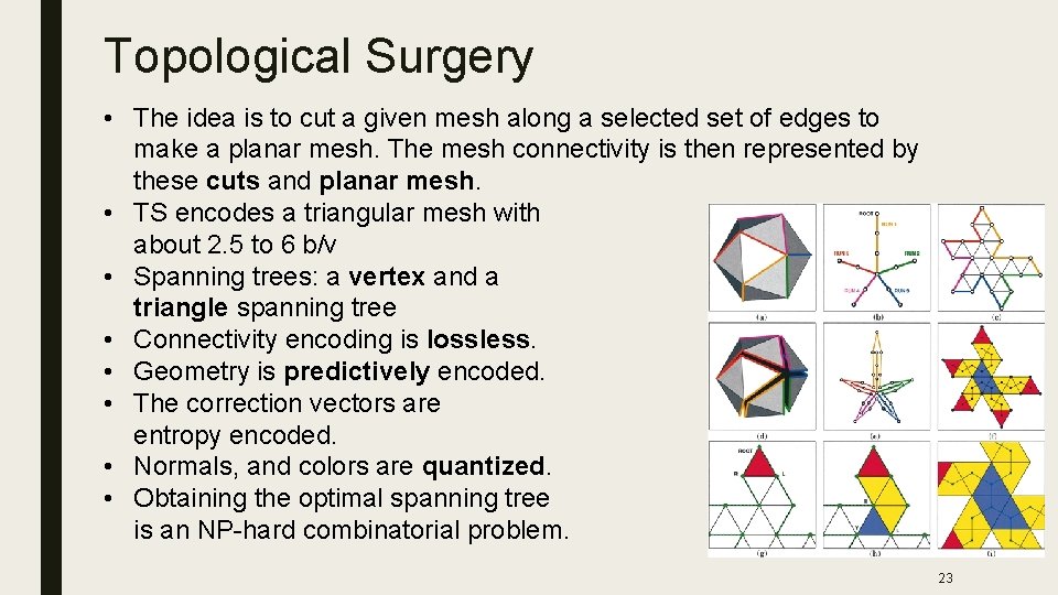 Topological Surgery • The idea is to cut a given mesh along a selected