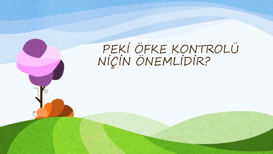 PEKİ ÖFKE KONTROLÜ NİÇİN ÖNEMLİDİR? 