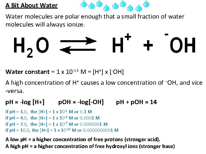 A Bit About Water molecules are polar enough that a small fraction of water