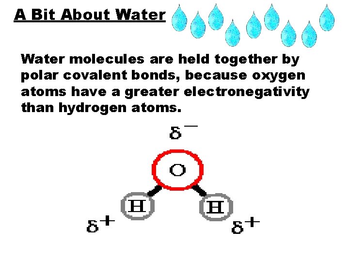 A Bit About Water molecules are held together by polar covalent bonds, because oxygen