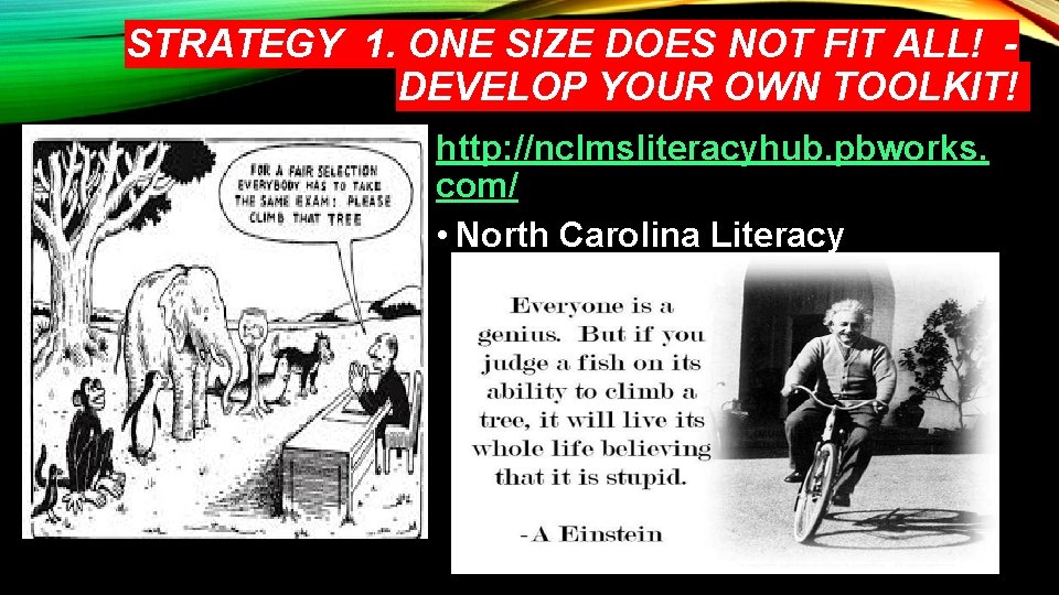 STRATEGY 1. ONE SIZE DOES NOT FIT ALL! DEVELOP YOUR OWN TOOLKIT! http: //nclmsliteracyhub.