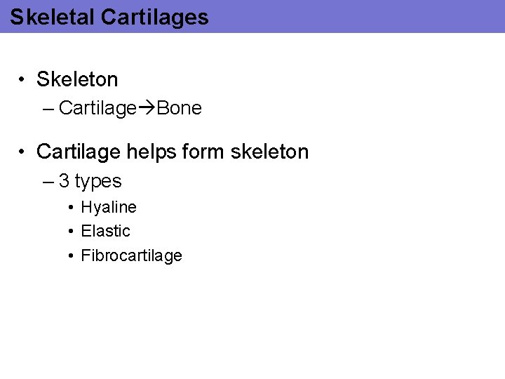 Skeletal Cartilages • Skeleton – Cartilage Bone • Cartilage helps form skeleton – 3