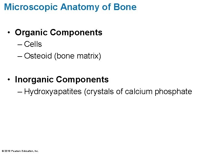 Microscopic Anatomy of Bone • Organic Components – Cells – Osteoid (bone matrix) •