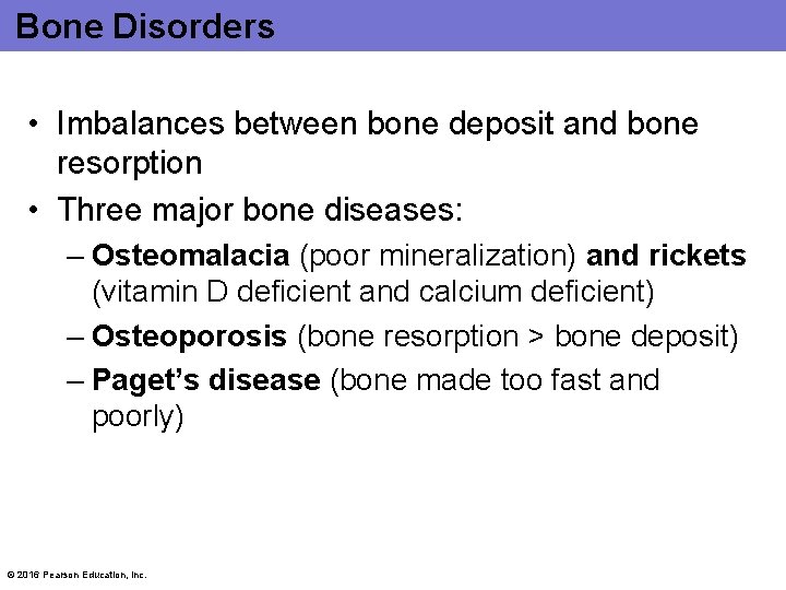 Bone Disorders • Imbalances between bone deposit and bone resorption • Three major bone