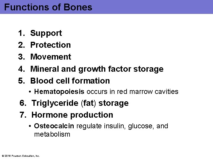 Functions of Bones 1. 2. 3. 4. 5. Support Protection Movement Mineral and growth