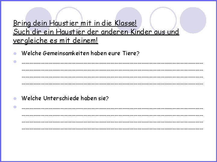 Bring dein Haustier mit in die Klasse! Such dir ein Haustier der anderen Kinder