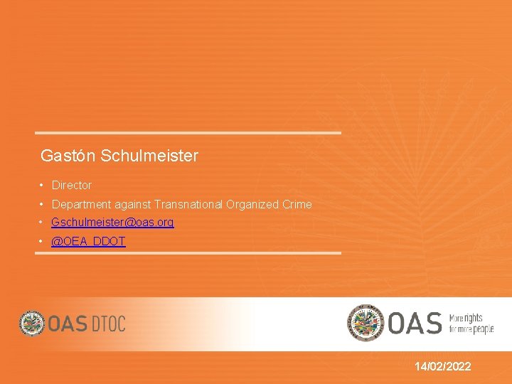 Gastón Schulmeister • Director • Department against Transnational Organized Crime • Gschulmeister@oas. org •