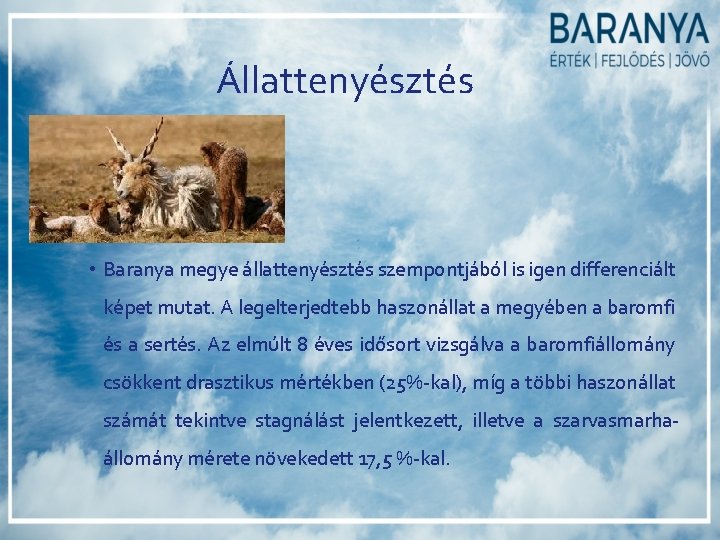 Állattenyésztés • Baranya megye állattenyésztés szempontjából is igen differenciált képet mutat. A legelterjedtebb haszonállat Állattenyésztés • Baranya megye állattenyésztés szempontjából is igen differenciált képet mutat. A legelterjedtebb haszonállat