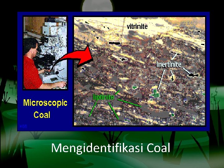 Mengidentifikasi Coal 