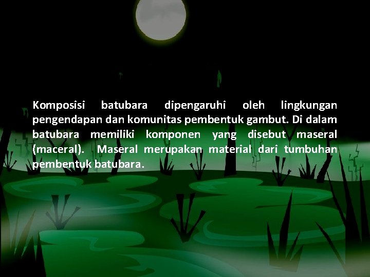 Komposisi batubara dipengaruhi oleh lingkungan pengendapan dan komunitas pembentuk gambut. Di dalam batubara memiliki