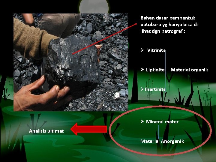 Bahan dasar pembentuk batubara yg hanya bisa di lihat dgn petrografi: Ø Vitrinite Ø