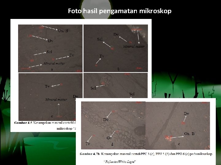 Foto hasil pengamatan mikroskop 