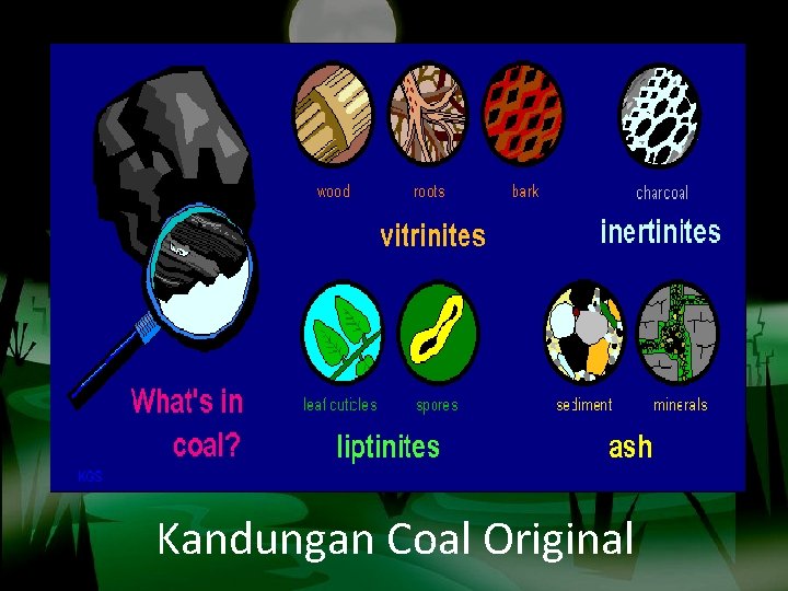 Kandungan Coal Original 