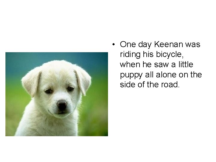  • One day Keenan was riding his bicycle, when he saw a little