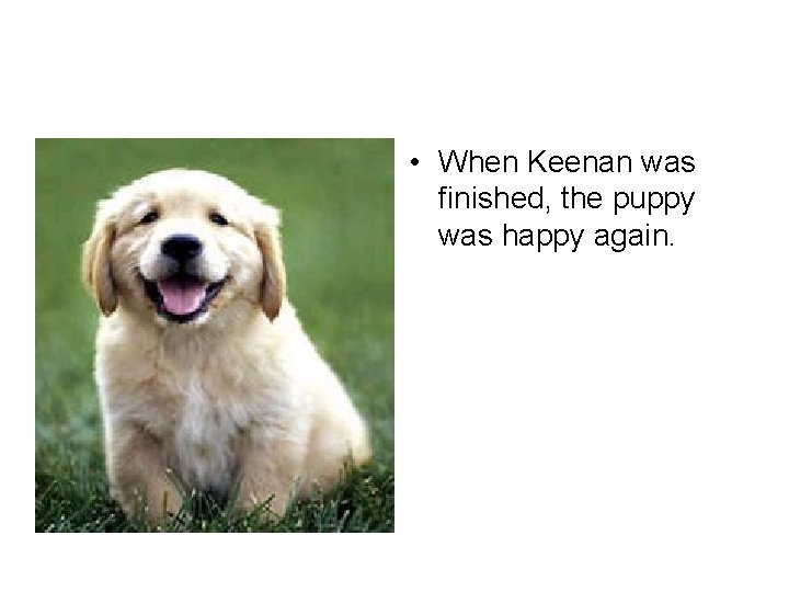  • When Keenan was finished, the puppy was happy again. 