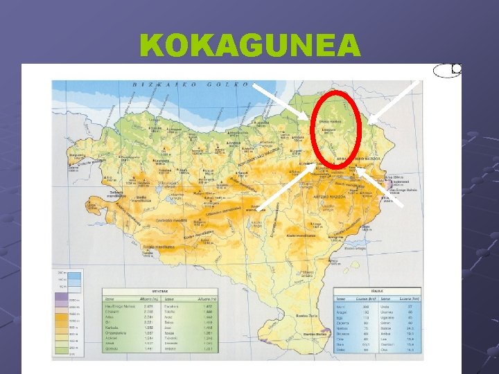 KOKAGUNEA 