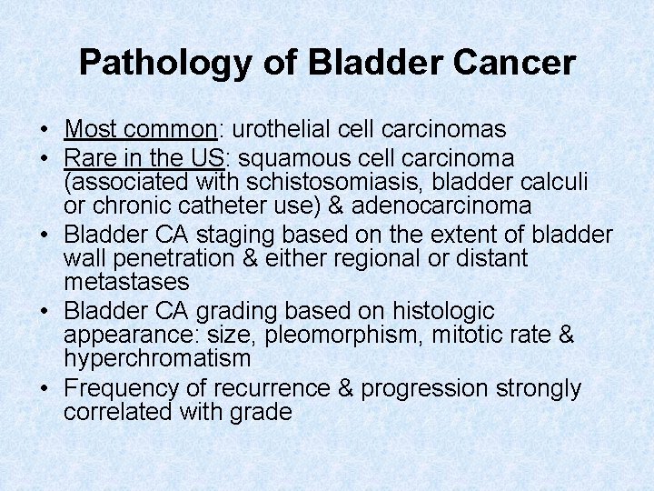 Pathology of Bladder Cancer • Most common: urothelial cell carcinomas • Rare in the