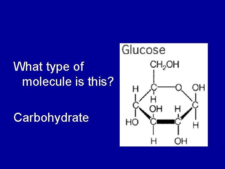 What type of molecule is this? Carbohydrate 