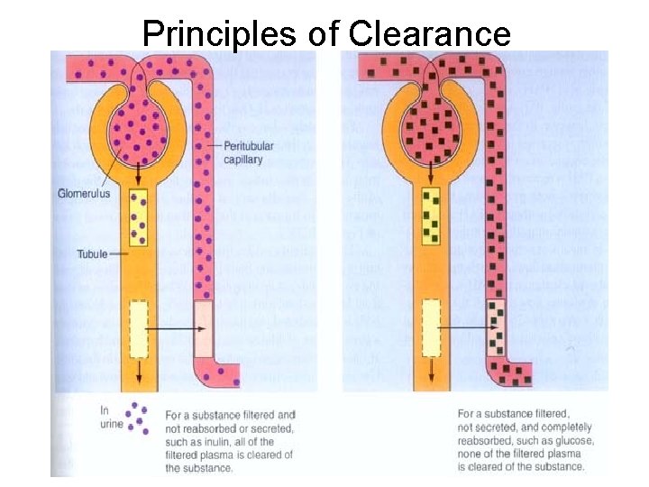 Principles of Clearance 